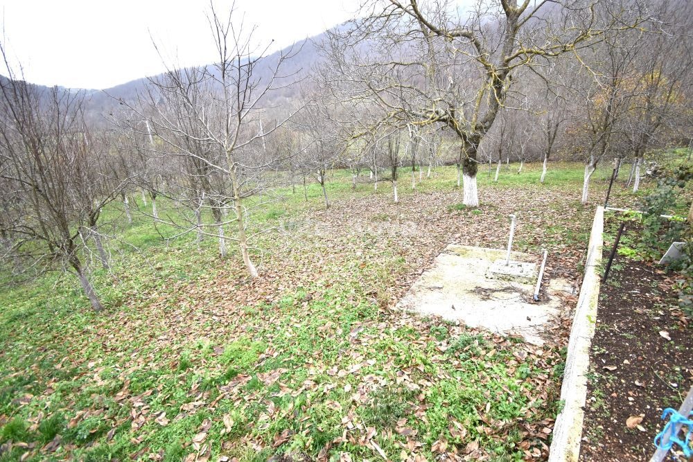 Kuća u Lovincu, 54m², 1 soba