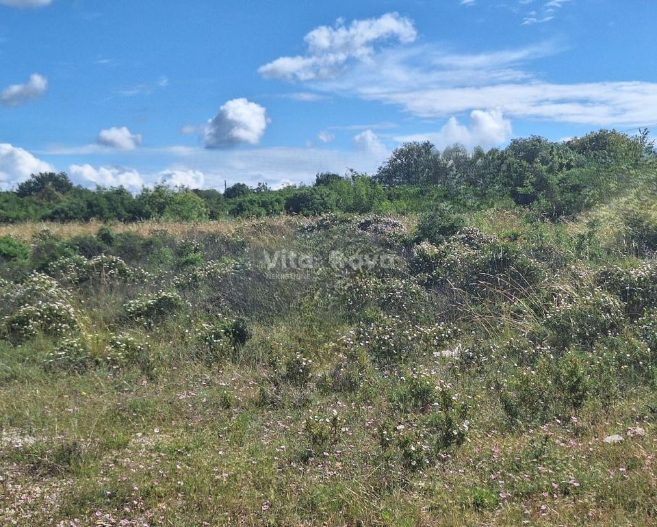 Zemljište u Sukošanu, 3443m²