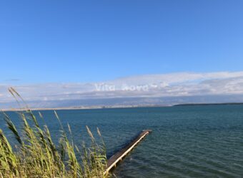 NINSKE VODICE- 110 M OD MORA, IDEALNO ZA GRADNJU, PRILIKA!