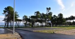 NINSKE VODICE- 110 M OD MORA, IDEALNO ZA GRADNJU, PRILIKA! NINSKE VODICE- 110 M OD MORA, IDEALNO ZA GRADNJU, PRILIKA!