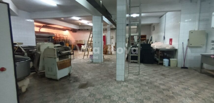 PLOVANIJA, 320 m2, PRIZEMLJE+PODRUM