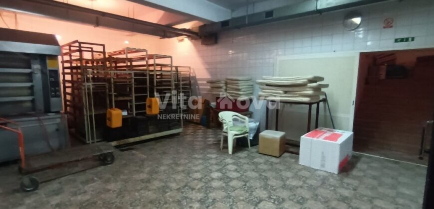 PLOVANIJA, 320 m2, PRIZEMLJE+PODRUM