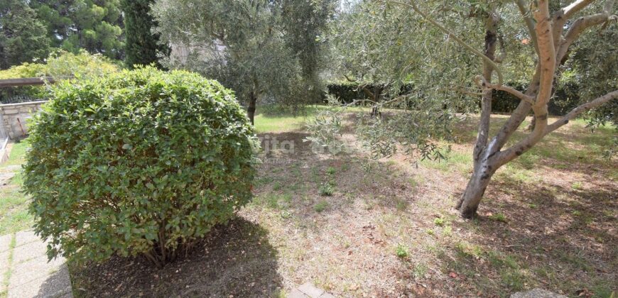 POSEDARJE, 70 m OD MORA, DVORIŠTE!