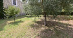 POSEDARJE, 70 m OD MORA, DVORIŠTE!