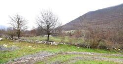 LIKA, KUĆA S OKUĆNICOM I DODATNIM ZEMLJIŠTIMA