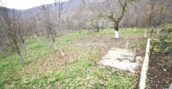 LIKA, KUĆA S OKUĆNICOM I DODATNIM ZEMLJIŠTIMA