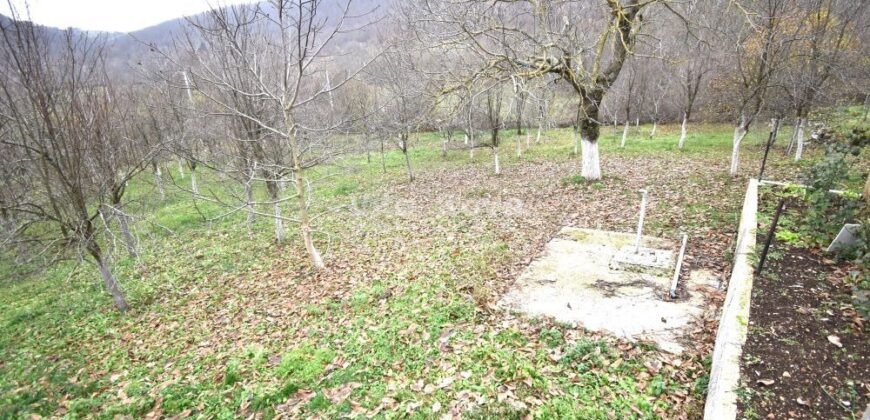 LIKA, KUĆA S OKUĆNICOM I DODATNIM ZEMLJIŠTIMA