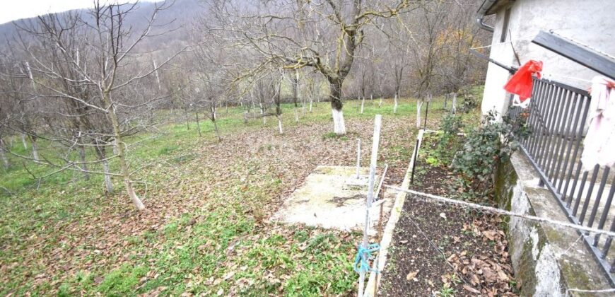 LIKA, KUĆA S OKUĆNICOM I DODATNIM ZEMLJIŠTIMA