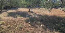 SUKOŠAN, 1490 m2, 350 m OD MORA