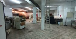 PLOVANIJA, 320 m2, PRIZEMLJE+PODRUM