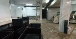 PLOVANIJA, 320 m2, PRIZEMLJE+PODRUM