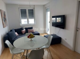 VIŠNJIK, NOVOGRADNJA, NA DULJI PERIOD