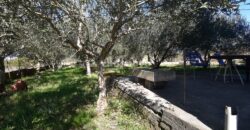 GORNJA JAGODNJA, NOVOUREĐENA KATNICA, OKUĆNICA 2900 m2