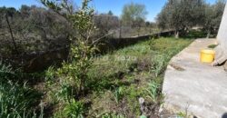 GORNJA JAGODNJA, NOVOUREĐENA KATNICA, OKUĆNICA 2900 m2