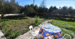 GORNJA JAGODNJA, NOVOUREĐENA KATNICA, OKUĆNICA 2900 m2