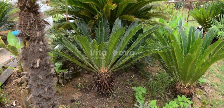 PRILIKA! SABUNIKE, KATNICA, 2 STAMBENE JEDINICE, DUPLEX