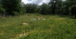 RAŠTANE GORNJE, 2300 m2, STARINA  ZA OBNOVU