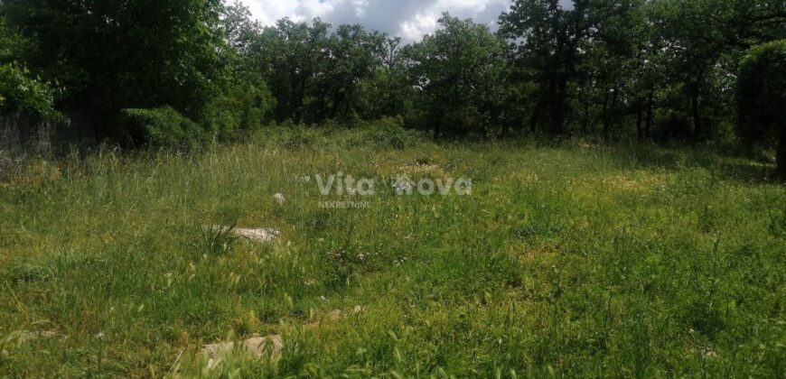 RAŠTANE GORNJE, 2300 m2, STARINA  ZA OBNOVU