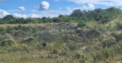 DEBELJAK, 3400 m2, GRAĐEVINSKO