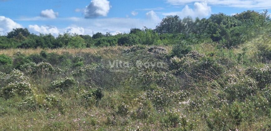 DEBELJAK, 3400 m2, GRAĐEVINSKO