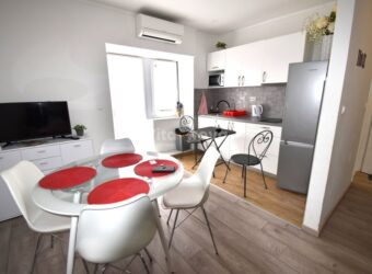 NIN- CENTAR, DUGOROČNO, JEDNOSOBAN