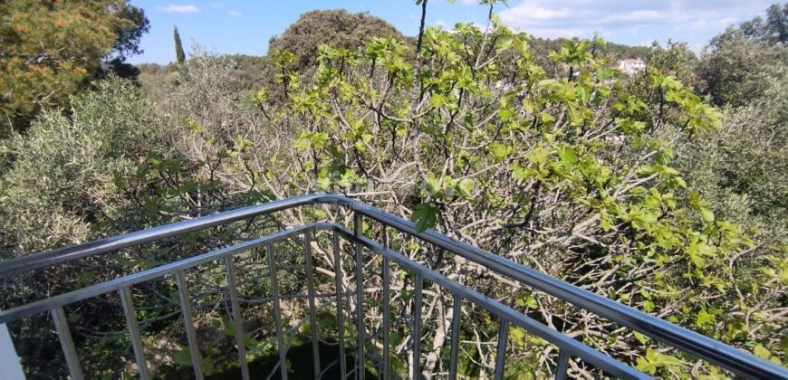 ŽDRELAC-70 METARA OD MORA, POGLED NA MORE!