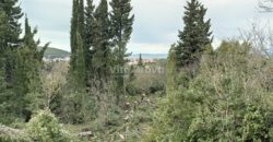 POLJANA- 450M OD MORA! 979 M2