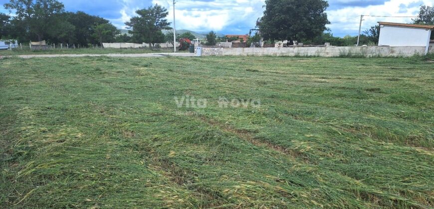 RAŠTANE GORNJE, 2300 m2, STARINA  ZA OBNOVU!