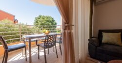 BORIK, 2-SOBAN, DUGOROČNO!