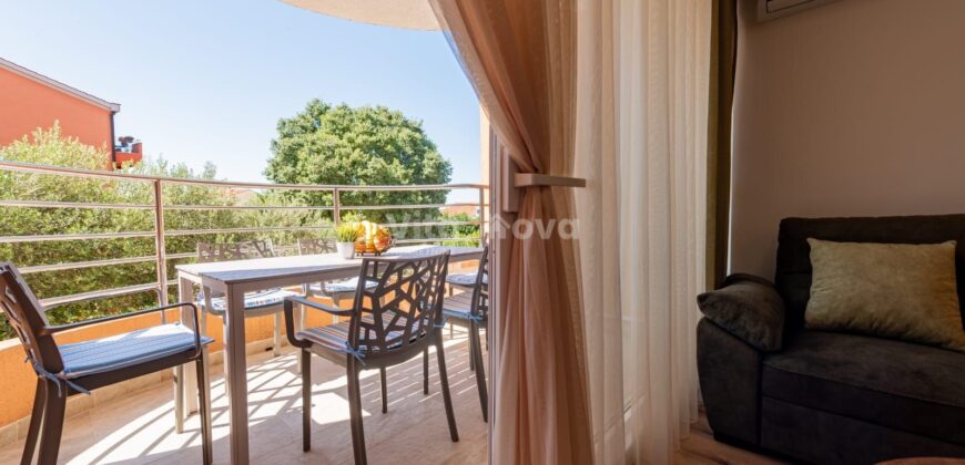 BORIK, 2-SOBAN, DUGOROČNO!