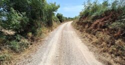 SV. FILIP I JAKOV, 2935 M2, GRAĐ. ZONA, MIRNI PREDIO!