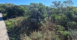 ŽDRELAC, ZEMLJIŠTE S IDEJNIM PROJEKTOM ZA KUĆU!