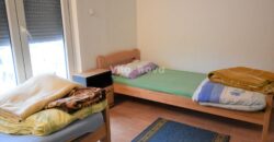 POLIČNIK, ZA MAX. 8 RADNIKA, GARAŽA I SKLADIŠTE!