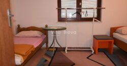 POLIČNIK, ZA MAX. 8 RADNIKA, GARAŽA I SKLADIŠTE!