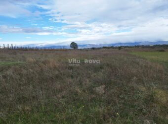 POLIČNIK, SNIŽENO! 4770 m2 POLJOPRIVREDNOG ZEMLJIŠTA POLIČNIK, SNIŽENO! 4770 m2 POLJOPRIVREDNOG ZEMLJIŠTA