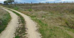 POLIČNIK, SNIŽENO! 4770 m2 POLJOPRIVREDNOG ZEMLJIŠTA