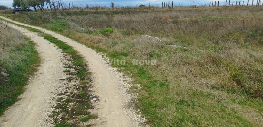 POLIČNIK, SNIŽENO! 4770 m2 POLJOPRIVREDNOG ZEMLJIŠTA
