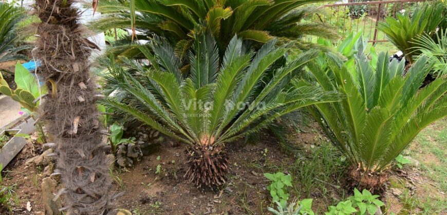 PRILIKA! SABUNIKE, KATNICA, 2 STAMBENE JEDINICE, DUPLEX