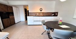 VIDIKOVAC- OD 15.09., EKSKLUZIVAN STAN S KROVNOM TERASOM VIDIKOVAC- OD 15.09., EKSKLUZIVAN STAN S KROVNOM TERASOM