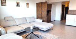 VIDIKOVAC- OD 15.09., EKSKLUZIVAN STAN S KROVNOM TERASOM VIDIKOVAC- OD 15.09., EKSKLUZIVAN STAN S KROVNOM TERASOM