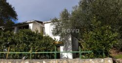 POSEDARJE, SNIŽENO!, POGLED NA MORE!