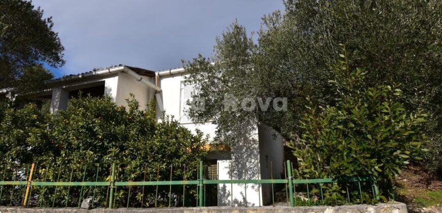 POSEDARJE, SNIŽENO!, POGLED NA MORE!