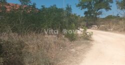 VIR, 200 METARA OD MORA, JUŽNA STRANA! VIR, 200 METARA OD MORA, JUŽNA STRANA!