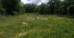 RAŠTANE GORNJE, 2300 m2, STARINA  ZA OBNOVU RAŠTANE GORNJE, 2300 m2, STARINA  ZA OBNOVU