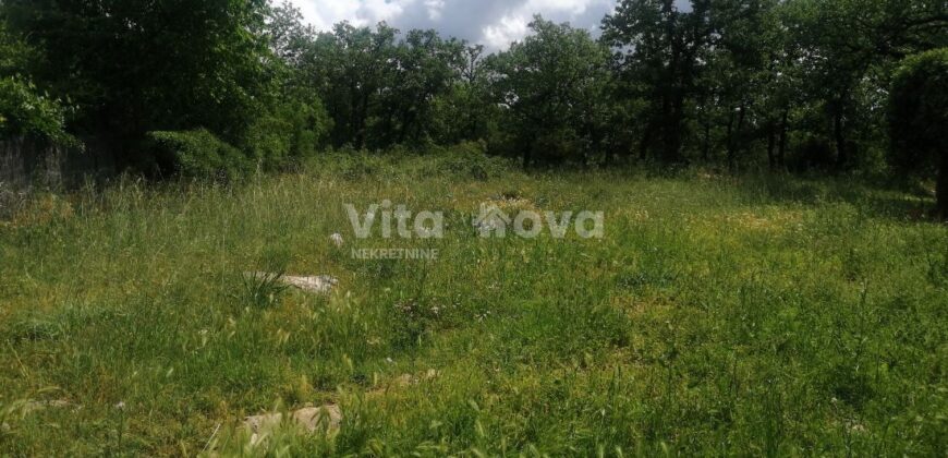 RAŠTANE GORNJE, 2300 m2, STARINA  ZA OBNOVU RAŠTANE GORNJE, 2300 m2, STARINA  ZA OBNOVU