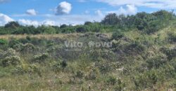 DEBELJAK, 3400 m2, GRAĐEVINSKO