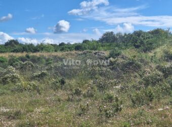 DEBELJAK, 3400 m2, GRAĐEVINSKO DEBELJAK, 3400 m2, GRAĐEVINSKO