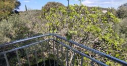 ŽDRELAC-70 METARA OD MORA, POGLED NA MORE! ŽDRELAC-70 METARA OD MORA, POGLED NA MORE!