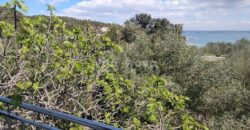 ŽDRELAC-70 METARA OD MORA, POGLED NA MORE! ŽDRELAC-70 METARA OD MORA, POGLED NA MORE!