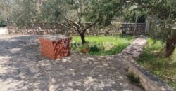 ŽDRELAC-70 METARA OD MORA, POGLED NA MORE! ŽDRELAC-70 METARA OD MORA, POGLED NA MORE!